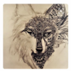 Meet your Posher, Sonia